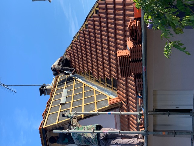 Traitement bois charpente Vienne